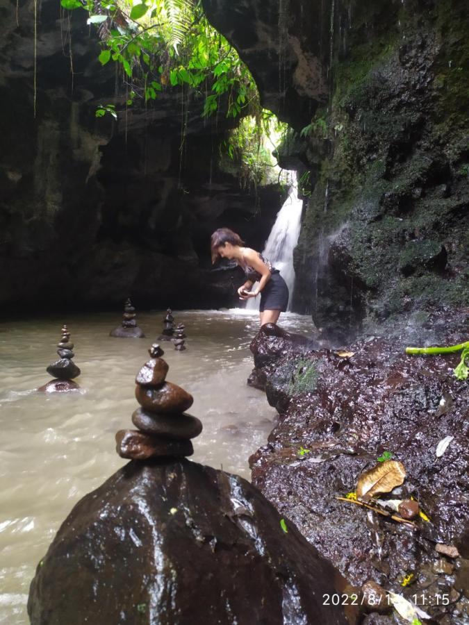 Green Haven Homestay Tetebatu Exteriér fotografie