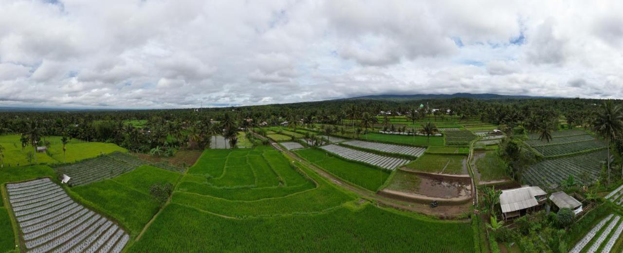 Green Haven Homestay Tetebatu Pokoj fotografie