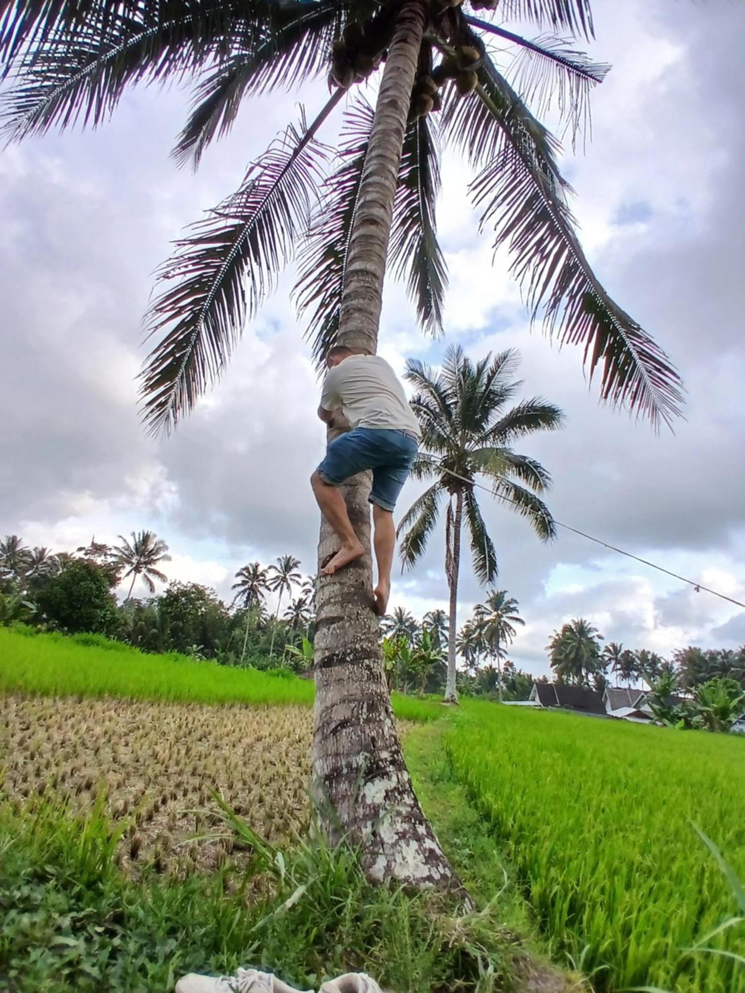 Green Haven Homestay Tetebatu Exteriér fotografie