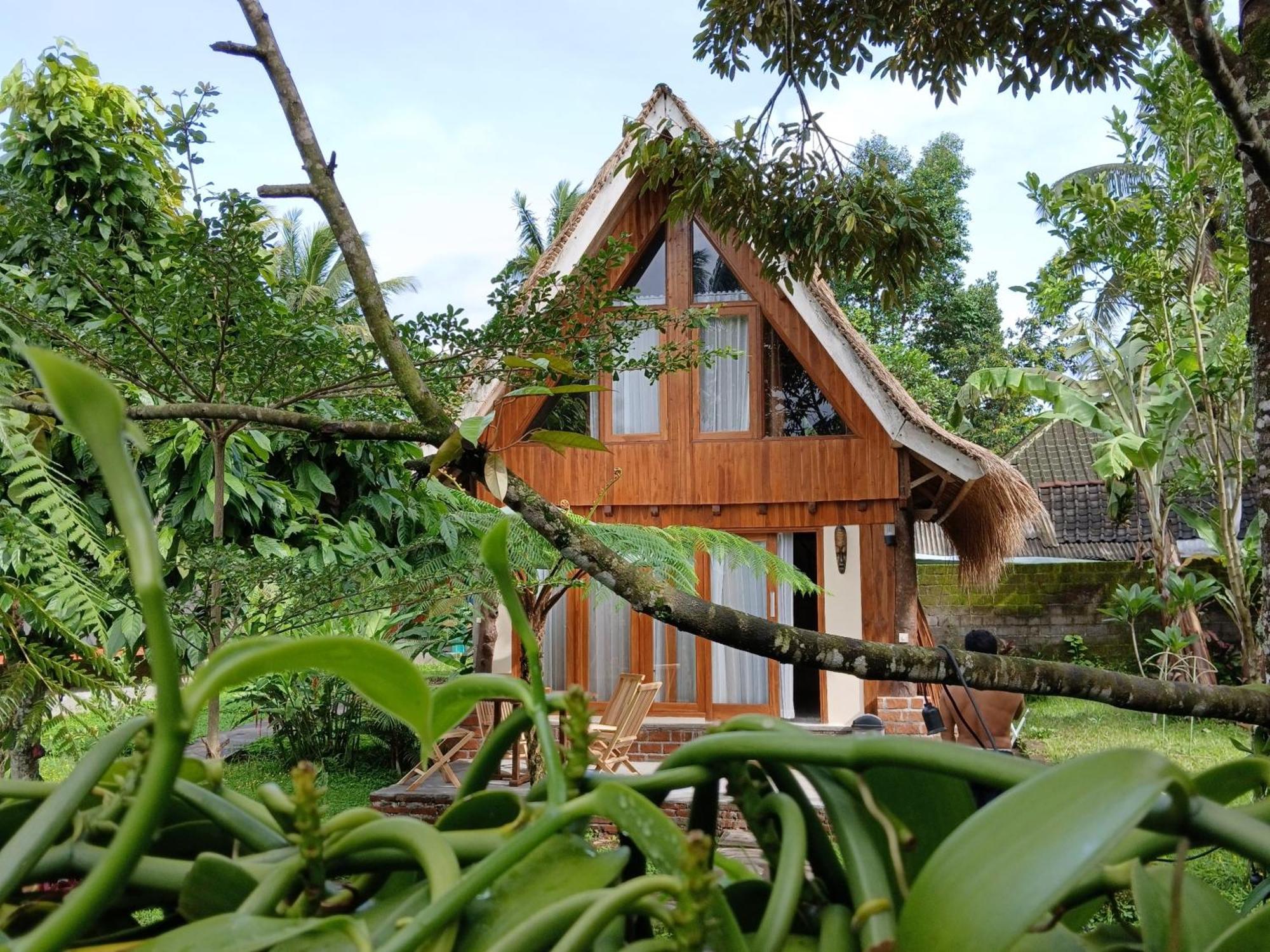 Green Haven Homestay Tetebatu Exteriér fotografie